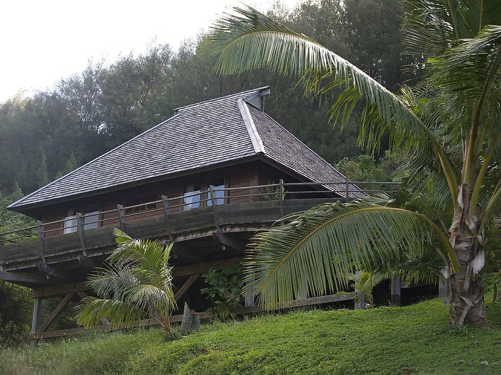 Villa Taura Hauru